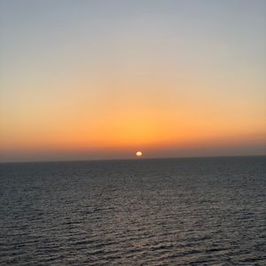 Meet your Posher, Tanner